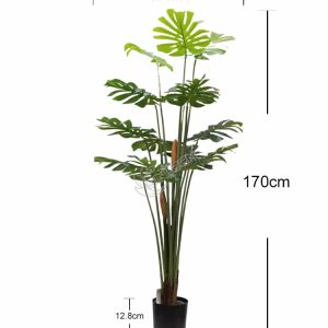 1.7米13叶胶管龟背尺寸