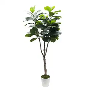 170cm Faux Ficus Lyrata