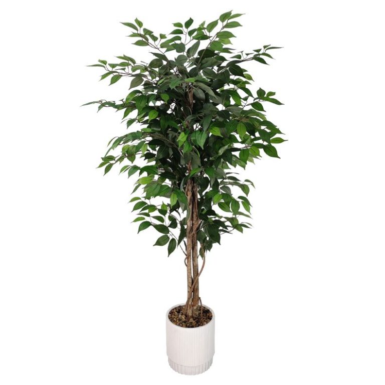 customized trees
