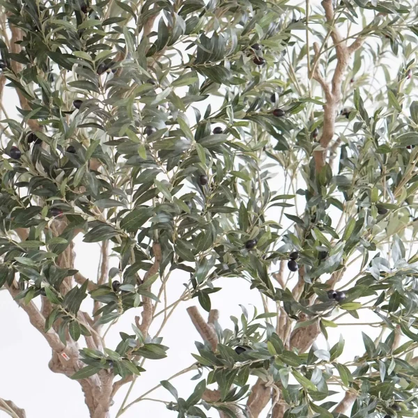 3 Best Faux Olive Tree