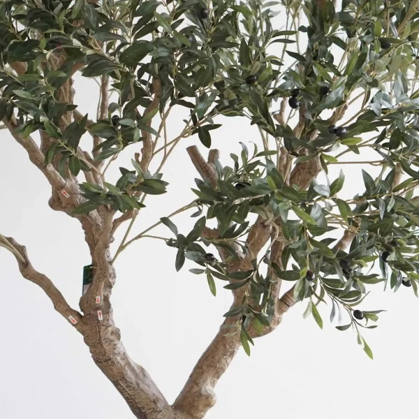 4 Best Faux Olive Tree