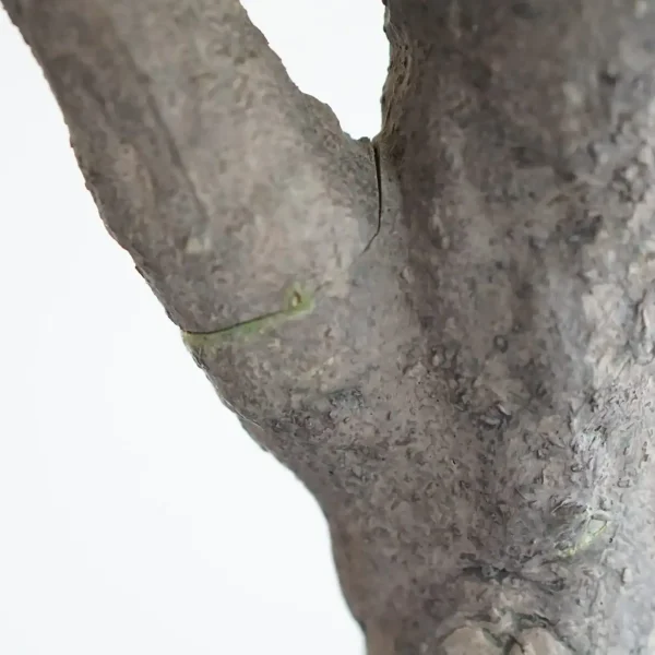 large faux olive tree large faux olive tree