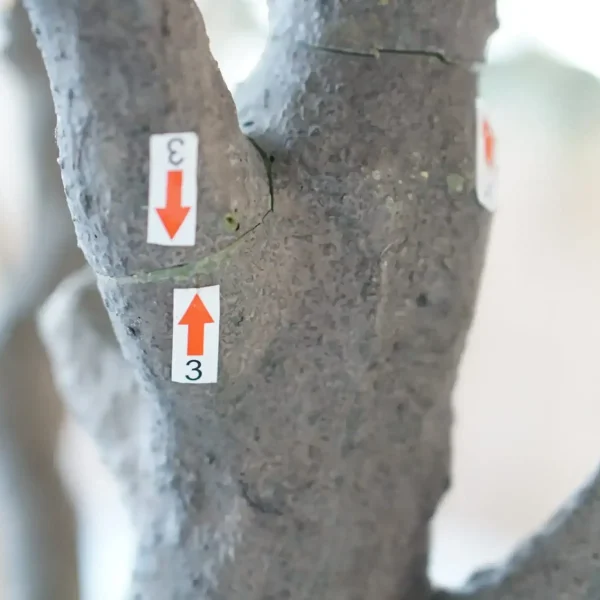 large faux olive tree large faux olive tree