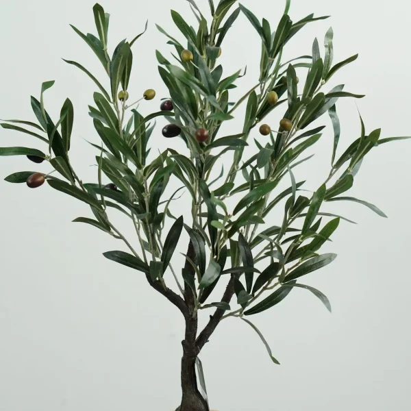 DSC01389 faux potted olive tree