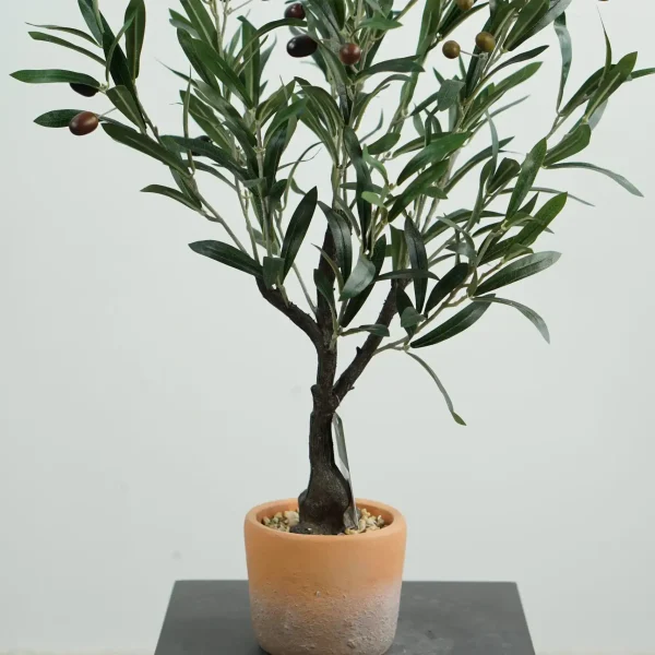 DSC01390 faux potted olive tree