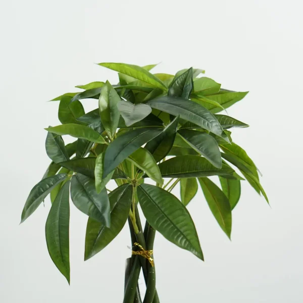 DSC01398 artificial money tree