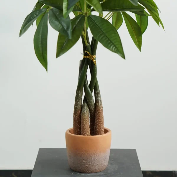 2ft Fake Money Tree In Pot - Sinleen Artificial Plant