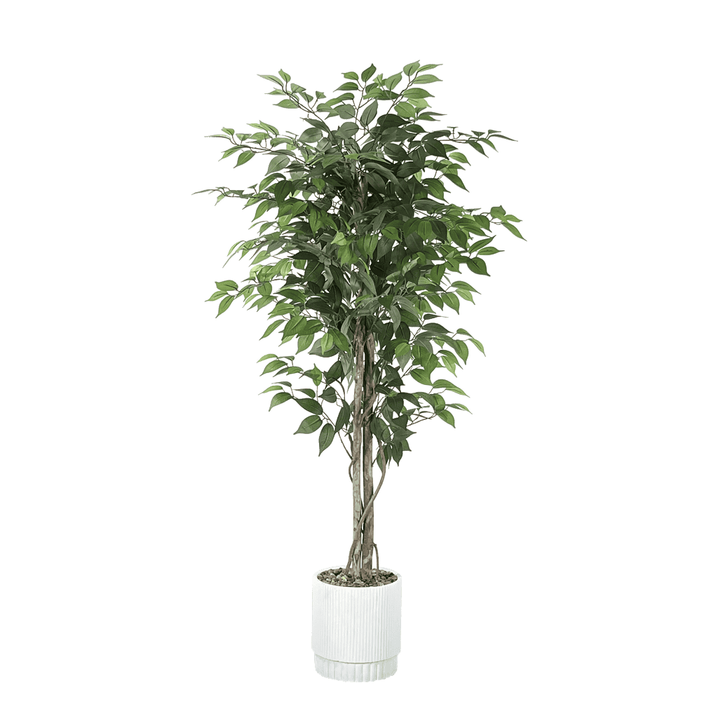 artificial ficus tree