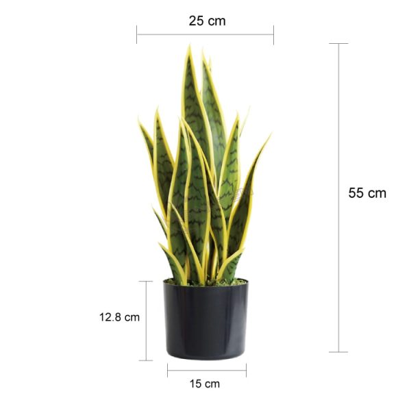 55CM黄皮虎皮兰尺寸- artificial snake plant