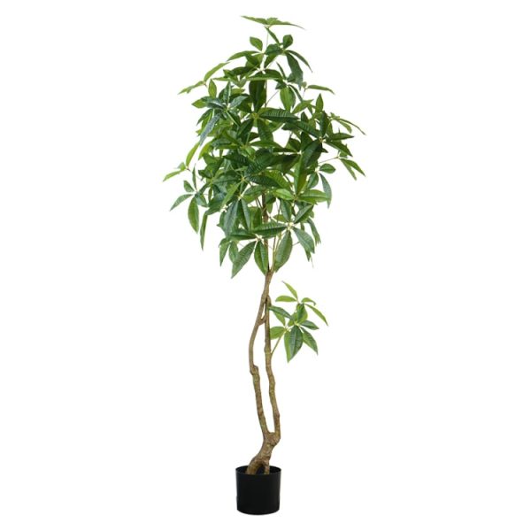 money tree5 money tree artificial