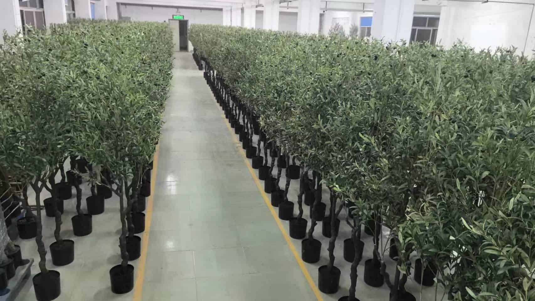 artificial plants