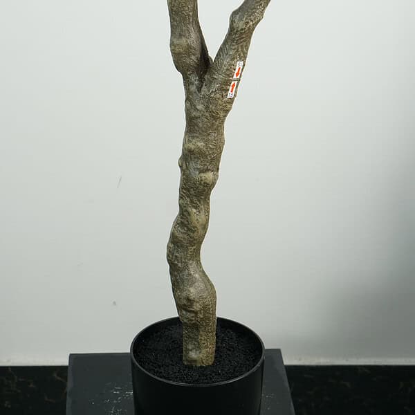 artificial olive tree with PE leaves (1) Most realistic faux olive tree