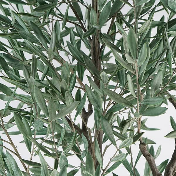 artificial olive tree with PE leaves (3) Most realistic faux olive tree