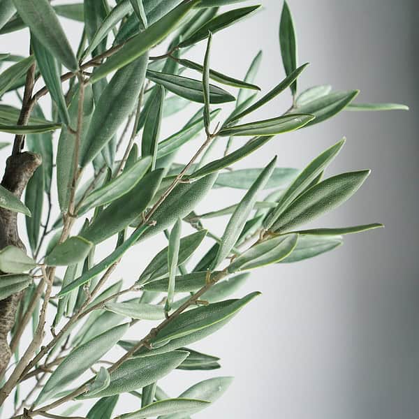 artificial olive tree with PE leaves (5) Most realistic faux olive tree