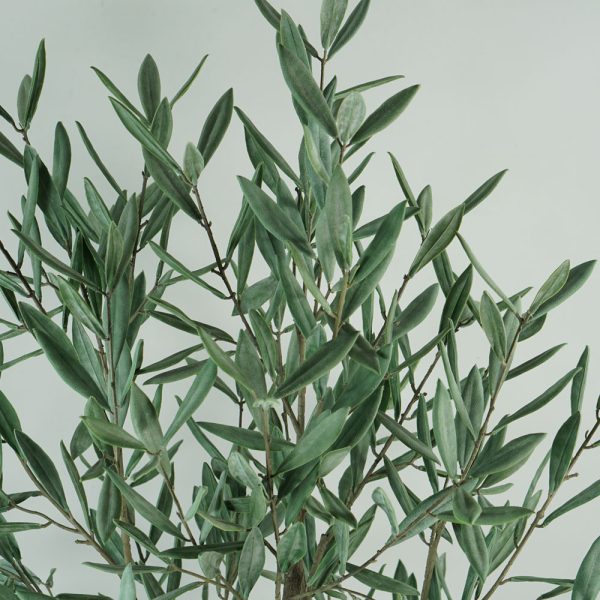 plastic olive tree artificial (2) realistic faux olive tree