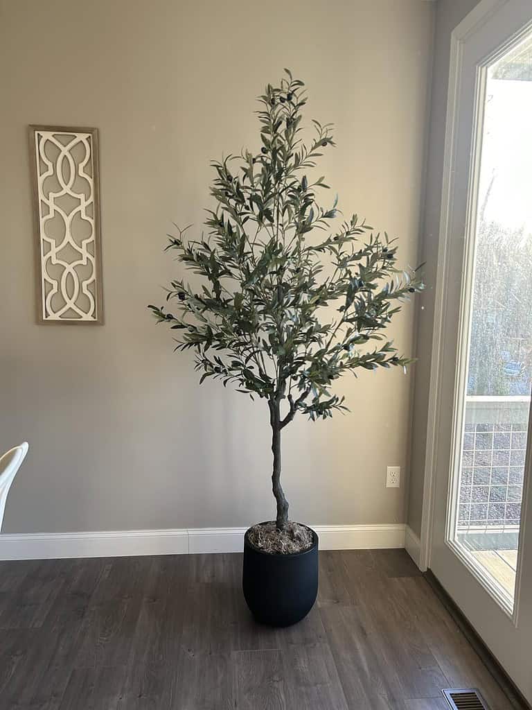 Are fake olive trees in style: styled faux olive trees place in the living room