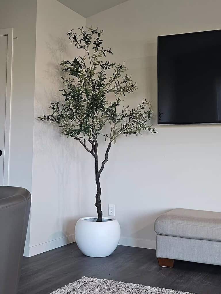 How to Make a Faux Olive Tree: A Comprehensive DIY Guide