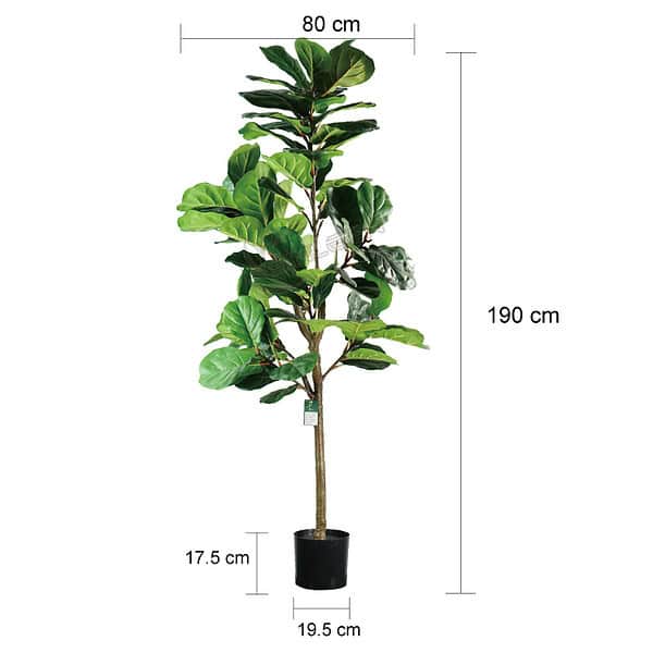 Faux Fiddle Leaf Fig Tree 190cm Faux Fiddle Leaf Fig Tree 190cm size information