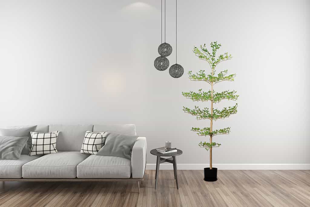 faux shady lady tree home settling