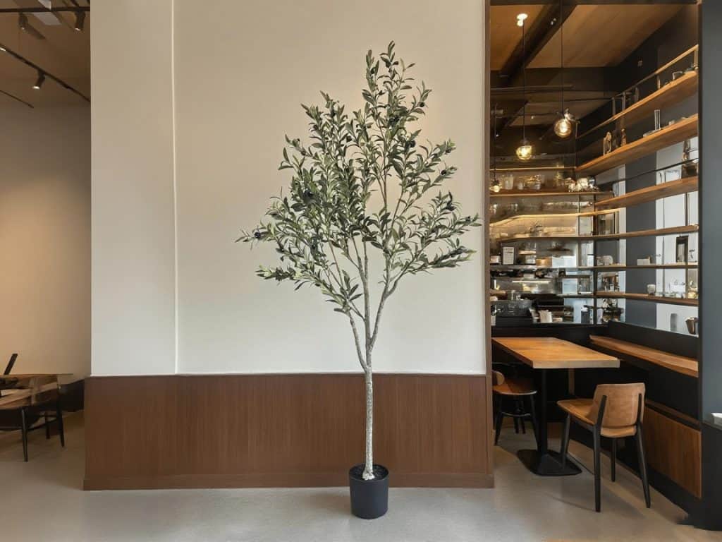 Faux Black Olive Tree vs. Standard: A Buyer's Guide for Businesses