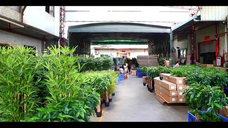 Artificial Plant Supplier UAE